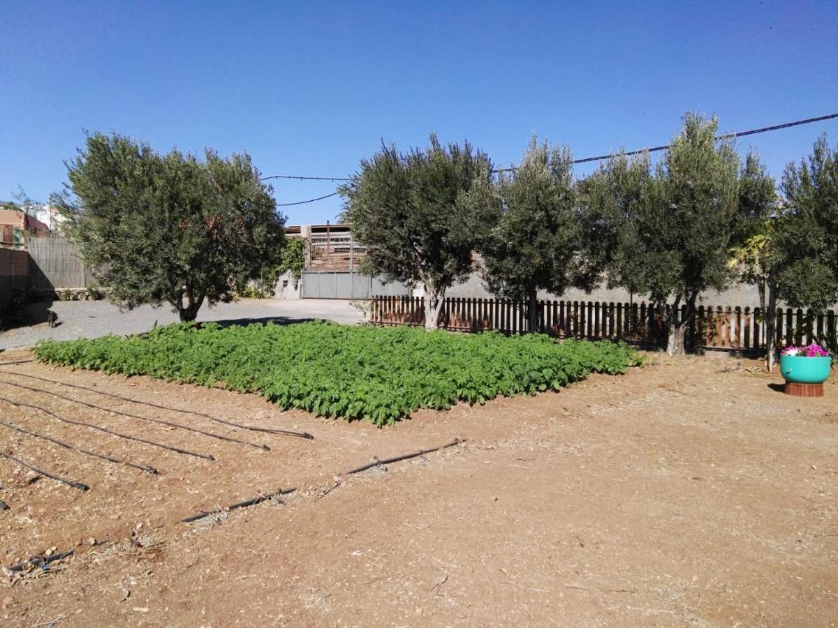 La Casita Del Naranjo Villa Agüimes Exteriör bild