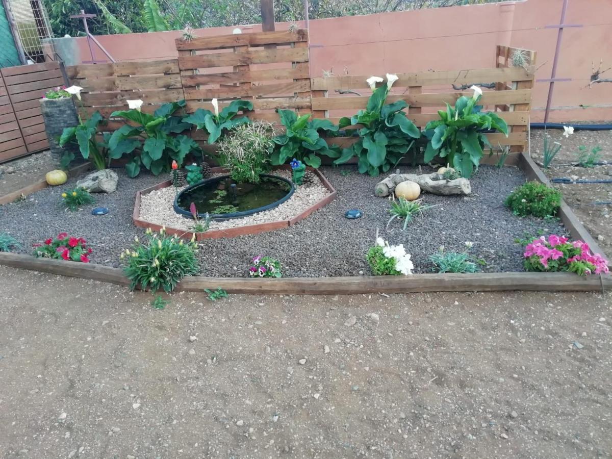 La Casita Del Naranjo Villa Agüimes Exteriör bild